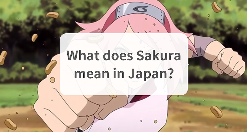 what-does-sakura-mean-in-japan